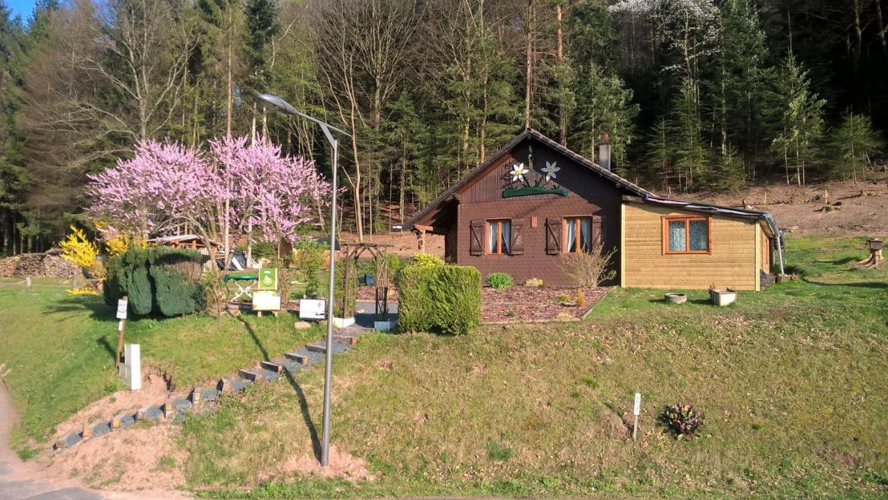 Gite Bien-Etre Walscheid Exteriér fotografie